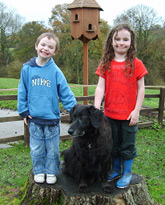 Dodford